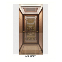 Villa Elevator with Mirror Finished Stainless Steel (KJX-BS07)